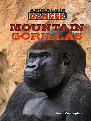 cover image of Mountain Gorillas